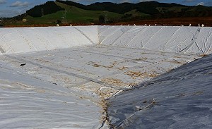 Non-woven Geotextile underlay adding a barrier from any sharp ground objects and the plastic membrane
